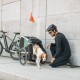 Bike Trailer Thule Bexey Bike Trailer Thule Bexey