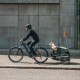 Bike Trailer Thule Bexey Bike Trailer Thule Bexey