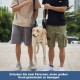 COODEO Dog Carrier Strap, Emergency Backpack Support for Rehabilitation Dog Lift Harness, Dog Carrier for Elderly Dogs, Joint Injuries, Arthritis, Up Stairs (XL, Blue) COODEO Dog Carrier Strap, Emergency Backpack Support for Rehabilitation Dog Lift Harness, Dog Carrier for Elderly Dogs, Joint Injuries, Arthritis, Up Stairs (XL, Blue)