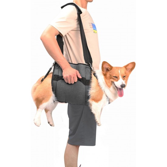 COODEO Dog Carrier Strap, Emergency Backpack Support for Rehabilitation Dog Lift Harness, Dog Carrier for Elderly Dogs, Joint Injuries, Arthritis, Up Stairs (XL, Blue) COODEO Dog Carrier Strap, Emergency Backpack Support for Rehabilitation Dog Lift Harness, Dog Carrier for Elderly Dogs, Joint Injuries, Arthritis, Up Stairs (XL, Blue)