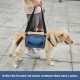 COODEO Dog Carrier Strap, Emergency Backpack Support for Rehabilitation Dog Lift Harness, Dog Carrier for Elderly Dogs, Joint Injuries, Arthritis, Up Stairs (XL, Blue) COODEO Dog Carrier Strap, Emergency Backpack Support for Rehabilitation Dog Lift Harness, Dog Carrier for Elderly Dogs, Joint Injuries, Arthritis, Up Stairs (XL, Blue)