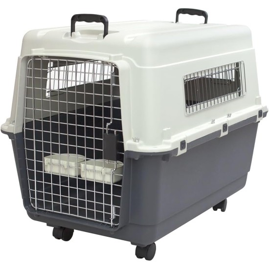 Carrier for Dogs Dialsa Carrier for Dogs Dialsa