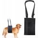 Carrying Aid, Aid for Dog Handlers, Portable Carrier Bags for Dog Rehabilitation, Rear Lifting Harness for Dogs Tokaneit Carrying Aid, Aid for Dog Handlers, Portable Carrier Bags for Dog Rehabilitation, Rear Lifting Harness for Dogs Tokaneit
