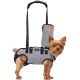 Carrying Aid Harness, Lifting Harness for Medium Dogs, Sling for Medium Dogs, Full Body Harness, Dog Carry Bag with Shoulder Strap, Soft, Waterproof, Adjustable, Grey, XL Carrying Aid Harness, Lifting Harness for Medium Dogs, Sling for Medium Dogs, Full Body Harness, Dog Carry Bag with Shoulder Strap, Soft, Waterproof, Adjustable, Grey, XL