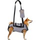 Carrying Aid Harness, Lifting Harness for Medium Dogs, Sling for Medium Dogs, Full Body Harness, Dog Carry Bag with Shoulder Strap, Soft, Waterproof, Adjustable, Grey, XL Carrying Aid Harness, Lifting Harness for Medium Dogs, Sling for Medium Dogs, Full Body Harness, Dog Carry Bag with Shoulder Strap, Soft, Waterproof, Adjustable, Grey, XL