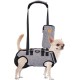 Carrying Aid Harness, Lifting Harness for Medium Dogs, Sling for Medium Dogs, Full Body Harness, Dog Carry Bag with Shoulder Strap, Soft, Waterproof, Adjustable, Grey, XL Carrying Aid Harness, Lifting Harness for Medium Dogs, Sling for Medium Dogs, Full Body Harness, Dog Carry Bag with Shoulder Strap, Soft, Waterproof, Adjustable, Grey, XL