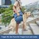 Coodeo Dog Carrier Strap, Emergency Backpack Support for Rehabilitation Dog Lift Harness, Dog Carrier for Elderly Dogs, Joint Injuries, Arthritis, Up Stairs (L, Blue) Coodeo Dog Carrier Strap, Emergency Backpack Support for Rehabilitation Dog Lift Harness, Dog Carrier for Elderly Dogs, Joint Injuries, Arthritis, Up Stairs (L, Blue)