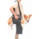 Coodeo Dog Carrier Strap, Emergency Backpack Support for Rehabilitation Dog Lift Harness, Dog Carrier for Elderly Dogs, Joint Injuries, Arthritis, Up Stairs (L, Blue) Coodeo Dog Carrier Strap, Emergency Backpack Support for Rehabilitation Dog Lift Harness, Dog Carrier for Elderly Dogs, Joint Injuries, Arthritis, Up Stairs (L, Blue)