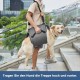 Coodeo Dog Carrier Strap, Emergency Backpack Support for Rehabilitation Dog Lift Harness, Dog Carrier for Elderly Dogs, Joint Injuries, Arthritis, Up Stairs (L, Blue) Coodeo Dog Carrier Strap, Emergency Backpack Support for Rehabilitation Dog Lift Harness, Dog Carrier for Elderly Dogs, Joint Injuries, Arthritis, Up Stairs (L, Blue)