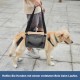 Coodeo Dog Carrier Strap, Emergency Backpack Support for Rehabilitation Dog Lift Harness, Dog Carrier for Elderly Dogs, Joint Injuries, Arthritis, Up Stairs (L, Blue) Coodeo Dog Carrier Strap, Emergency Backpack Support for Rehabilitation Dog Lift Harness, Dog Carrier for Elderly Dogs, Joint Injuries, Arthritis, Up Stairs (L, Blue)
