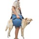 Coodeo Dog Carrier Strap, Emergency Backpack Support for Rehabilitation Dog Lift Harness, Dog Carrier for Elderly Dogs, Joint Injuries, Arthritis, Up Stairs (L, Blue) Coodeo Dog Carrier Strap, Emergency Backpack Support for Rehabilitation Dog Lift Harness, Dog Carrier for Elderly Dogs, Joint Injuries, Arthritis, Up Stairs (L, Blue)