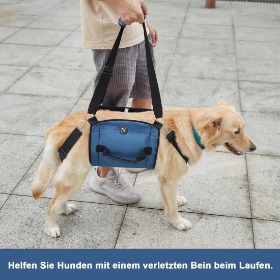 Coodeo Dog Carrier Strap, Emergency Backpack Support for Rehabilitation Dog Lift Harness, Dog Carrier for Elderly Dogs, Joint Injuries, Arthritis, Up Stairs (L, Blue) Coodeo Dog Carrier Strap, Emergency Backpack Support for Rehabilitation Dog Lift Harness, Dog Carrier for Elderly Dogs, Joint Injuries, Arthritis, Up Stairs (L, Blue)
