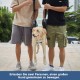Coodeo Dog Carrier Strap, Emergency Backpack Support for Rehabilitation Dog Lift Harness, Dog Carrier for Elderly Dogs, Joint Injuries, Arthritis, Up Stairs (L, Blue) Coodeo Dog Carrier Strap, Emergency Backpack Support for Rehabilitation Dog Lift Harness, Dog Carrier for Elderly Dogs, Joint Injuries, Arthritis, Up Stairs (L, Blue)