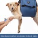 Coodeo Dog Carrier Strap, Emergency Backpack Support for Rehabilitation Dog Lift Harness, Dog Carrier for Elderly Dogs, Joint Injuries, Arthritis, Up Stairs (L, Blue) Coodeo Dog Carrier Strap, Emergency Backpack Support for Rehabilitation Dog Lift Harness, Dog Carrier for Elderly Dogs, Joint Injuries, Arthritis, Up Stairs (L, Blue)