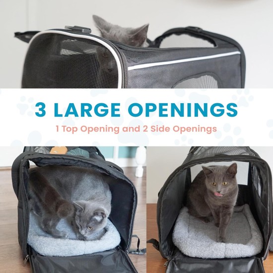 Cool Paws Premium Pet Carrier Travel Bag - Lightweight Cat Carrier - Dog Carrier with Handles | Breathable Puppy Carrier with Removable Mat | Dog Carrier - Cool Paws Premium Pet Carrier Travel Bag - Lightweight Cat Carrier - Dog Carrier with Handles | Breathable Puppy Carrier with Removable Mat | Dog Carrier -