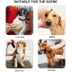 DONGKER Dog Grooming Hammock, Pet Dog Grooming Hammock Harness for Cats & Dogs, Breathable Hanging Harness for Nail Trimming, Grooming DONGKER Dog Grooming Hammock, Pet Dog Grooming Hammock Harness for Cats & Dogs, Breathable Hanging Harness for Nail Trimming, Grooming