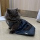 Dog Bag Indoor Durable Paralyzed Disabled Back Hind Legs Protect Chest and Limbs (XXS)