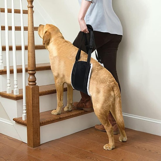 Dog Carrier Adjustable Dog Carrier for Support Disabled and Elderly Dogs to Support Safety Support for Small, Medium and Large Dogs (L) Dog Carrier Adjustable Dog Carrier for Support Disabled and Elderly Dogs to Support Safety Support for Small, Medium and Large Dogs (L)