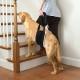 Dog Carrier Adjustable Dog Carrier for Support Disabled and Elderly Dogs to Support Safety Support for Small, Medium and Large Dogs (L)