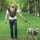 Dog Carrier Bag, Hands-Free Dog Carrier Sling Dog Size Adjustable Sling for Dogs, Double Shoulder Strap Dog Bag Front Dog Bag for Small Dogs Dog Carrier Bag, Hands-Free Dog Carrier Sling Dog Size Adjustable Sling for Dogs, Double Shoulder Strap Dog Bag Front Dog Bag for Small Dogs