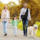 Dog Carrier, Dog Carrier, Dog Carrier, Dog Carrier, Dog Carrier, Carry Bag, Dog Carry Bag, Carrying Capacity up to 15 kg, for Walking and Outdoor Activities Dog Carrier, Dog Carrier, Dog Carrier, Dog Carrier, Dog Carrier, Carry Bag, Dog Carry Bag, Carrying Capacity up to 15 kg, for Walking and Outdoor Activities