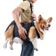 Dog Carrier, Emergency Backpack for Pets, Legs, Support & Rehabilitation, Dog Lift Harness, Dog Carrier for Elderly Dogs, Joint Injuries, Arthritis, Stair Up and Dog Carrier, Emergency Backpack for Pets, Legs, Support & Rehabilitation, Dog Lift Harness, Dog Carrier for Elderly Dogs, Joint Injuries, Arthritis, Stair Up and