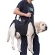 Dog Carrier, Emergency Backpack for Pets, Legs, Support & Rehabilitation, Dog Lift Harness, Dog Carrier for Elderly Dogs, Joint Injuries, Arthritis, Stair Up and Dog Carrier, Emergency Backpack for Pets, Legs, Support & Rehabilitation, Dog Lift Harness, Dog Carrier for Elderly Dogs, Joint Injuries, Arthritis, Stair Up and