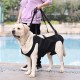 Dog Carrier, Emergency Backpack for Pets, Legs, Support & Rehabilitation, Dog Lift Harness, Dog Carrier for Elderly Dogs, Joint Injuries, Arthritis, Stair Up and Dog Carrier, Emergency Backpack for Pets, Legs, Support & Rehabilitation, Dog Lift Harness, Dog Carrier for Elderly Dogs, Joint Injuries, Arthritis, Stair Up and