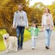 Dog Carrier Puppy Reversible Transport Bag for Dogs and Other Pets up to 7.5 kg Sling Dog Adjustable Secure Carry Strap for Small Dogs for Outdoor Walks Black Dog Carrier Puppy Reversible Transport Bag for Dogs and Other Pets up to 7.5 kg Sling Dog Adjustable Secure Carry Strap for Small Dogs for Outdoor Walks Black