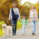 Dog Carrier Puppy Reversible Transport Bag for Dogs and Other Pets up to 7.5 kg Sling Dog Adjustable Secure Carry Strap for Small Dogs for Outdoor Walks Black Dog Carrier Puppy Reversible Transport Bag for Dogs and Other Pets up to 7.5 kg Sling Dog Adjustable Secure Carry Strap for Small Dogs for Outdoor Walks Black