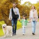 Dog Carrier Puppy Reversible Transport Bag for Dogs and Other Pets up to 7.5 kg Sling Dog Adjustable Secure Carry Strap for Small Dogs for Outdoor Walks Black Dog Carrier Puppy Reversible Transport Bag for Dogs and Other Pets up to 7.5 kg Sling Dog Adjustable Secure Carry Strap for Small Dogs for Outdoor Walks Black