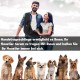 Dog Carry Bag, Dog Carrier Bag up to 7.5 kg, Carry Bag, Suitable for Pets, Lightweight Design for Outdoor Activities, Walks, Bicycle Tours Dog Carry Bag, Dog Carrier Bag up to 7.5 kg, Carry Bag, Suitable for Pets, Lightweight Design for Outdoor Activities, Walks, Bicycle Tours