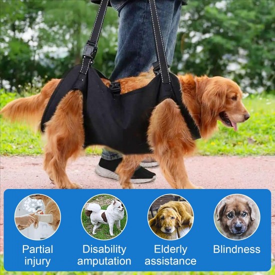 Dog Carrying Aid, Portable Dog Harness Stairs, Black Adjustable Carrying Aid Harness Lifting Harness for Hind Legs, Hip Support with Handles, Safety Support for Disabled, Injured Dogs Dog Carrying Aid, Portable Dog Harness Stairs, Black Adjustable Carrying Aid Harness Lifting Harness for Hind Legs, Hip Support with Handles, Safety Support for Disabled, Injured Dogs