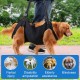 Dog Carrying Aid, Portable Dog Harness Stairs, Black Adjustable Carrying Aid Harness Lifting Harness for Hind Legs, Hip Support with Handles, Safety Support for Disabled, Injured Dogs Dog Carrying Aid, Portable Dog Harness Stairs, Black Adjustable Carrying Aid Harness Lifting Harness for Hind Legs, Hip Support with Handles, Safety Support for Disabled, Injured Dogs