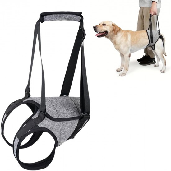 Dog Carrying Aid, Walking Aid for Dogs, Pet Support, Portable Dog Harness for Rear Legs, Dog Lifting Harness, Adjustable Dog Lift Harness, Dog Carrying Harness, XL Dog Carrying Aid, Walking Aid for Dogs, Pet Support, Portable Dog Harness for Rear Legs, Dog Lifting Harness, Adjustable Dog Lift Harness, Dog Carrying Harness, XL