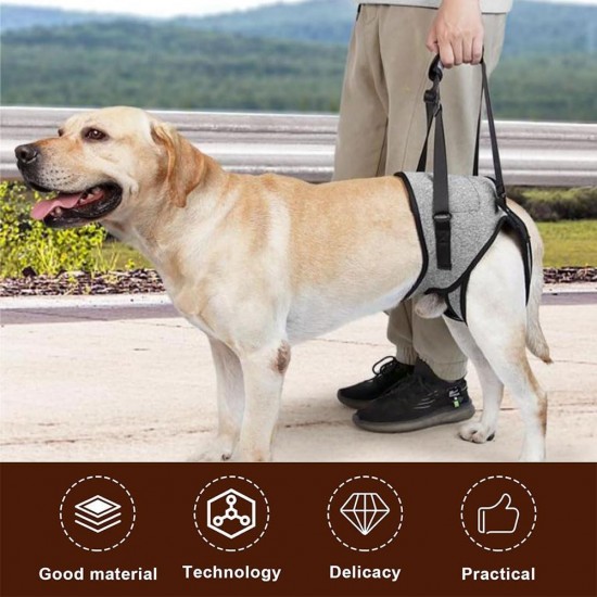 Dog Carrying Aid, Walking Aid for Dogs, Pet Support, Portable Dog Harness for Rear Legs, Dog Lifting Harness, Adjustable Dog Lift Harness, Dog Carrying Harness, XL Dog Carrying Aid, Walking Aid for Dogs, Pet Support, Portable Dog Harness for Rear Legs, Dog Lifting Harness, Adjustable Dog Lift Harness, Dog Carrying Harness, XL