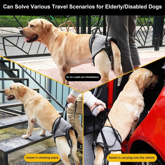 Dog Carrying Aid, Walking Aid for Dogs, Pet Support, Portable Dog Harness for Rear Legs, Dog Lifting Harness, Adjustable Dog Lift Harness, Dog Carrying Harness, XL Dog Carrying Aid, Walking Aid for Dogs, Pet Support, Portable Dog Harness for Rear Legs, Dog Lifting Harness, Adjustable Dog Lift Harness, Dog Carrying Harness, XL