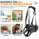 Dog Carrying Aid for Rear Legs, Carrying Harness Dog Sling with Handle, Lifting Harness for Dogs, Dog Lifting Harness for Disabled, Injured or Older Dogs (Black) Dog Carrying Aid for Rear Legs, Carrying Harness Dog Sling with Handle, Lifting Harness for Dogs, Dog Lifting Harness for Disabled, Injured or Older Dogs (Black)
