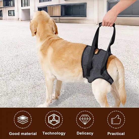 Dog Lifting Harness, Soft Dog Carrying Aid, Adjustable Walking Aid, Dog Support Harness for Rear Legs, Dog Carry Strap, Safety Support for Disabled, Injured or Older Dogs (XL) Dog Lifting Harness, Soft Dog Carrying Aid, Adjustable Walking Aid, Dog Support Harness for Rear Legs, Dog Carry Strap, Safety Support for Disabled, Injured or Older Dogs (XL)
