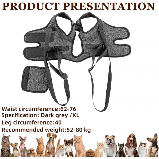 Dog Lifting Harness, Soft Dog Carrying Aid, Dog Support Harness for the Rear Legs, Dog Carry Strap, Adjustable Walking Aid, Safety Support for Disabled or Older Dogs, 26-40 kg (XL) Dog Lifting Harness, Soft Dog Carrying Aid, Dog Support Harness for the Rear Legs, Dog Carry Strap, Adjustable Walking Aid, Safety Support for Disabled or Older Dogs, 26-40 kg (XL)