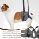 Dog Lifting Harness, Soft Dog Carrying Aid, Dog Support Harness for the Rear Legs, Dog Carry Strap, Adjustable Walking Aid, Safety Support for Disabled or Older Dogs, 26-40 kg (XL) Dog Lifting Harness, Soft Dog Carrying Aid, Dog Support Harness for the Rear Legs, Dog Carry Strap, Adjustable Walking Aid, Safety Support for Disabled or Older Dogs, 26-40 kg (XL)