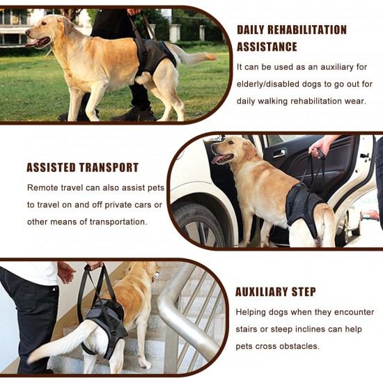 Dog Lifting Harness, Soft Dog Carrying Aid, Dog Support Harness for the Rear Legs, Dog Carry Strap, Adjustable Walking Aid, Safety Support for Disabled or Older Dogs, 26-40 kg (XL) Dog Lifting Harness, Soft Dog Carrying Aid, Dog Support Harness for the Rear Legs, Dog Carry Strap, Adjustable Walking Aid, Safety Support for Disabled or Older Dogs, 26-40 kg (XL)