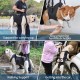 Duuclume Dog Harness for Lifting, Emergency Backpack, Pet Leg Support and Rehabilitation, Adjustable Lifting Straps, Dog Carrier for Elderly Elderly Dogs, Joint Injuries, Arthritis, M Duuclume Dog Harness for Lifting, Emergency Backpack, Pet Leg Support and Rehabilitation, Adjustable Lifting Straps, Dog Carrier for Elderly Elderly Dogs, Joint Injuries, Arthritis, M