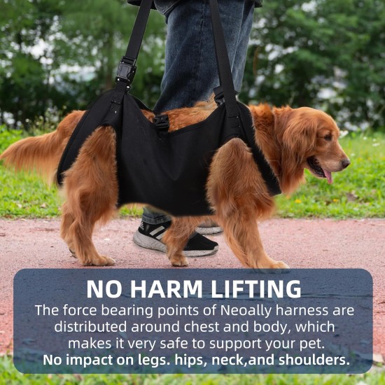 Duuclume Dog Harness for Lifting, Emergency Backpack, Pet Leg Support and Rehabilitation, Adjustable Lifting Straps, Dog Carrier for Elderly Elderly Dogs, Joint Injuries, Arthritis, M Duuclume Dog Harness for Lifting, Emergency Backpack, Pet Leg Support and Rehabilitation, Adjustable Lifting Straps, Dog Carrier for Elderly Elderly Dogs, Joint Injuries, Arthritis, M