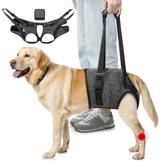 Eyein Carrier for Medium Large Dogs, Carry Bag Dog with Adjustable Hind Leg Support Strap for Elderly, Injured or Disabled Dogs for Weak Hind Legs After Cruciate Ligament Surgery, XL Eyein Carrier for Medium Large Dogs, Carry Bag Dog with Adjustable Hind Leg Support Strap for Elderly, Injured or Disabled Dogs for Weak Hind Legs After Cruciate Ligament Surgery, XL