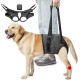 Eyein Carrier for Medium Large Dogs, Carry Bag Dog with Adjustable Hind Leg Support Strap for Elderly, Injured or Disabled Dogs for Weak Hind Legs After Cruciate Ligament Surgery, XL Eyein Carrier for Medium Large Dogs, Carry Bag Dog with Adjustable Hind Leg Support Strap for Elderly, Injured or Disabled Dogs for Weak Hind Legs After Cruciate Ligament Surgery, XL