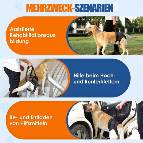 Eyein Carrier for Medium Large Dogs, Carry Bag Dog with Adjustable Hind Leg Support Strap for Elderly, Injured or Disabled Dogs for Weak Hind Legs After Cruciate Ligament Surgery, XL Eyein Carrier for Medium Large Dogs, Carry Bag Dog with Adjustable Hind Leg Support Strap for Elderly, Injured or Disabled Dogs for Weak Hind Legs After Cruciate Ligament Surgery, XL