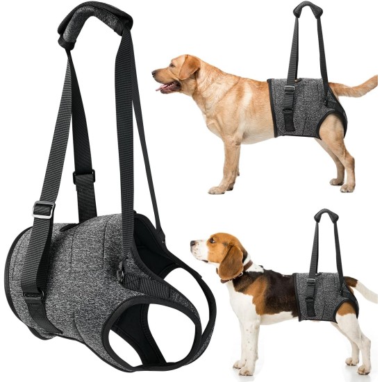 Eyein Carrier for Medium Large Dogs, Carry Bag Dog with Adjustable Hind Leg Support Strap for Elderly, Injured or Disabled Dogs for Weak Hind Legs After Cruciate Ligament Surgery, XL Eyein Carrier for Medium Large Dogs, Carry Bag Dog with Adjustable Hind Leg Support Strap for Elderly, Injured or Disabled Dogs for Weak Hind Legs After Cruciate Ligament Surgery, XL