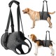 Eyein Carrier for Medium Large Dogs, Carry Bag Dog with Adjustable Hind Leg Support Strap for Elderly, Injured or Disabled Dogs for Weak Hind Legs After Cruciate Ligament Surgery, XL Eyein Carrier for Medium Large Dogs, Carry Bag Dog with Adjustable Hind Leg Support Strap for Elderly, Injured or Disabled Dogs for Weak Hind Legs After Cruciate Ligament Surgery, XL