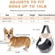 FDJASGY Pet Carrier Sling for Small Dogs and Cats, Breathable Mesh Hands-Free Puppy Backpack with Bag and Adjustable Carry Strap FDJASGY Pet Carrier Sling for Small Dogs and Cats, Breathable Mesh Hands-Free Puppy Backpack with Bag and Adjustable Carry Strap